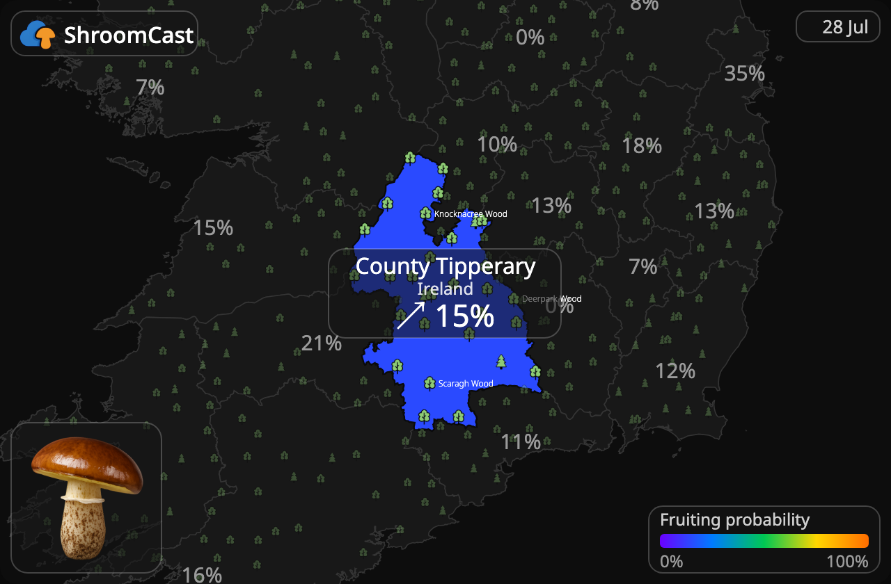Smörsopp County Tipperary