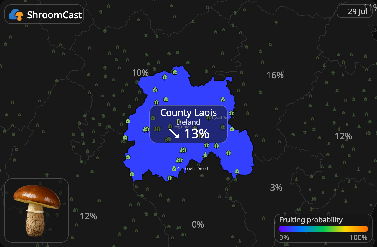 Bruine ringboleet County Laois