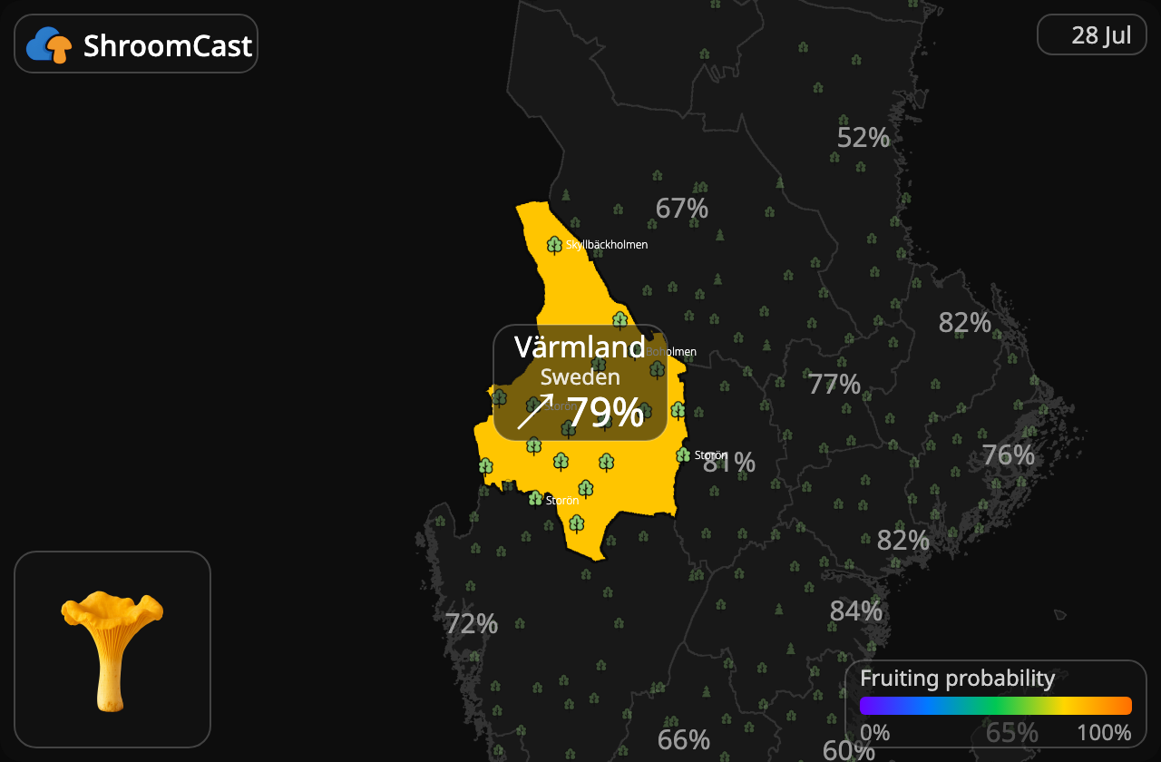 Girolle Värmland
