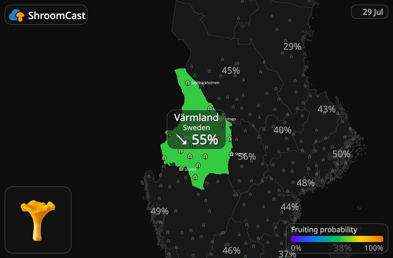 Pfifferling Värmland