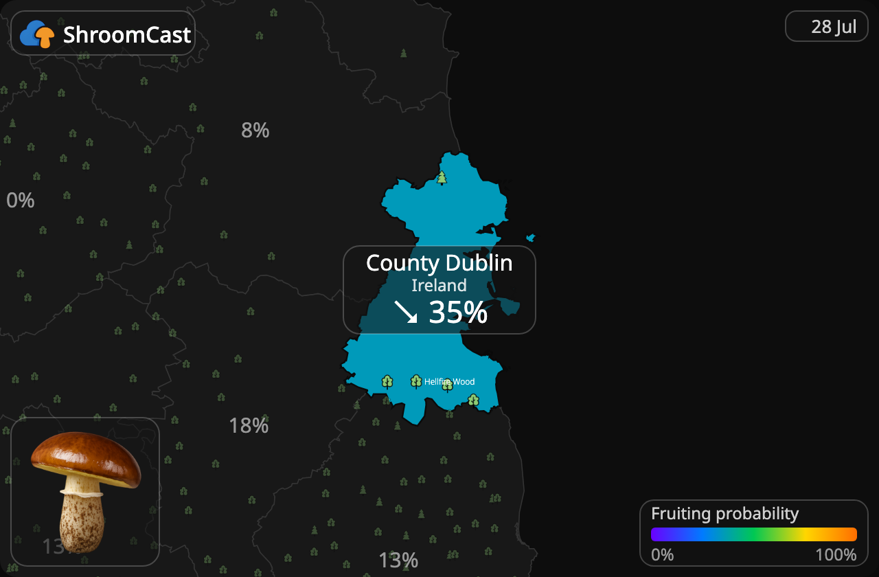 Voitatti County Dublin