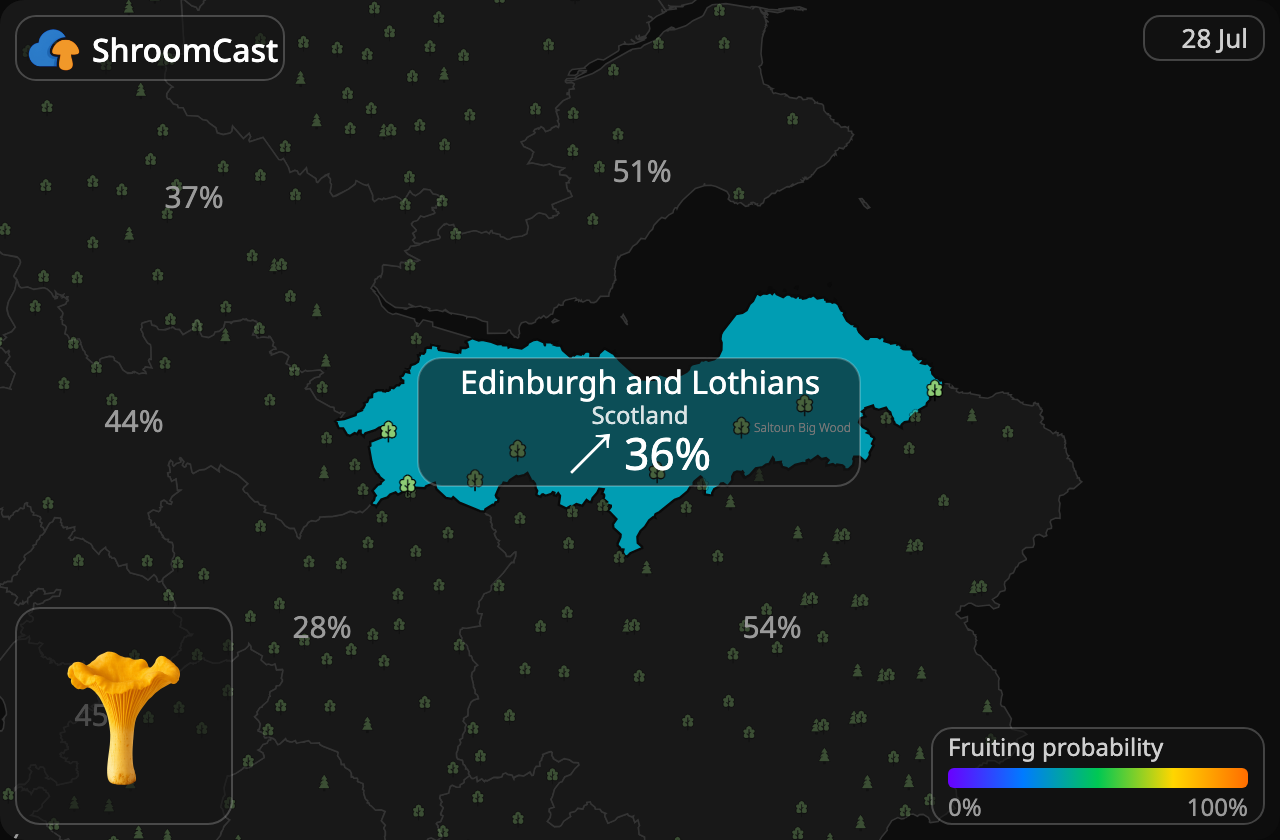 Girolle Edinburgh and Lothians
