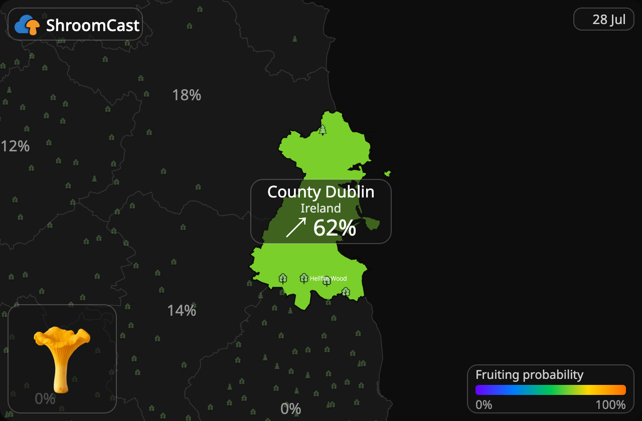 Kantarelli County Dublin