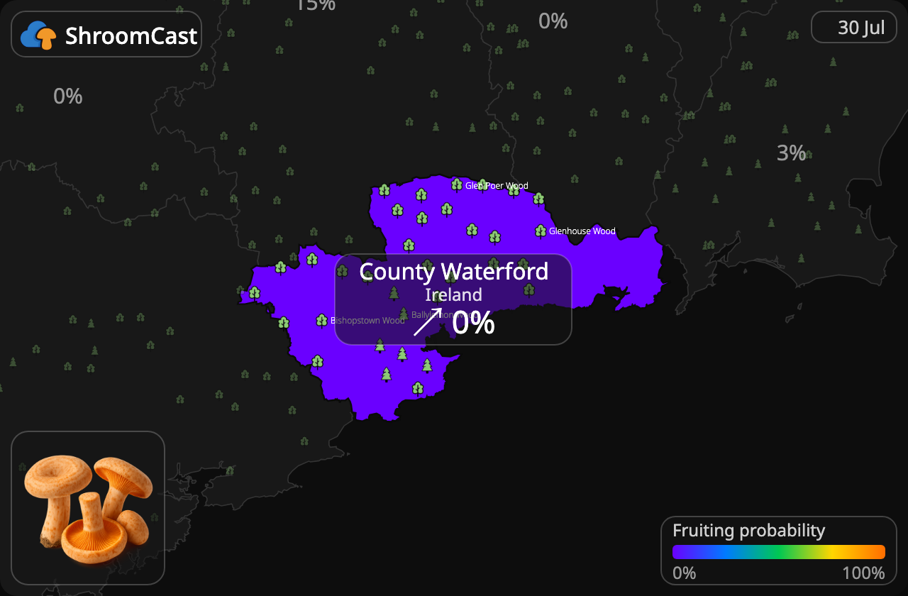 Smakelijke melkzwam County Waterford