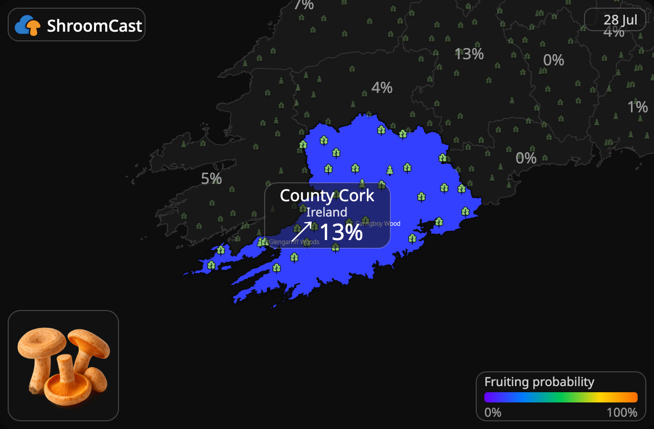 Männynleppärousku County Cork
