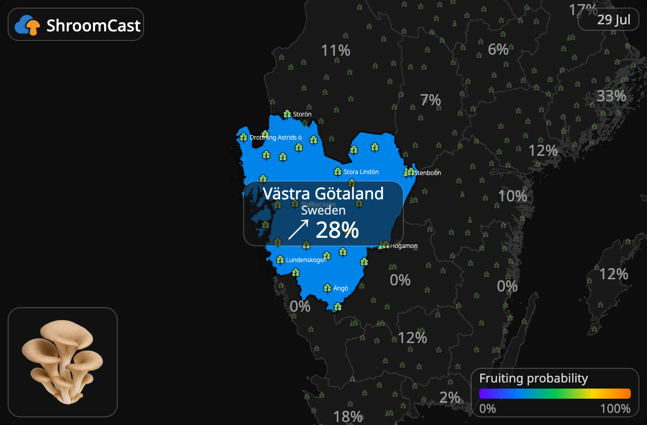 Osterivinokas Västra Götaland