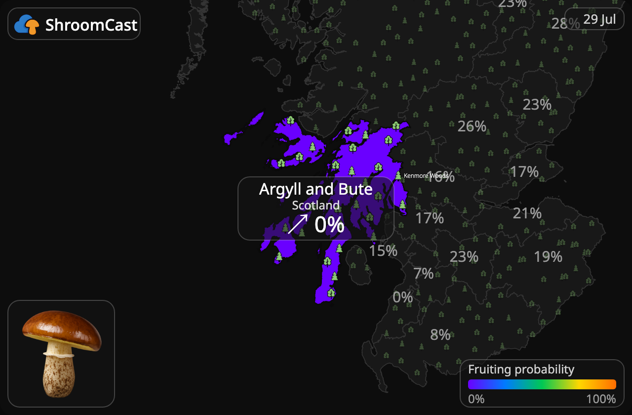 Voitatti Argyll and Bute