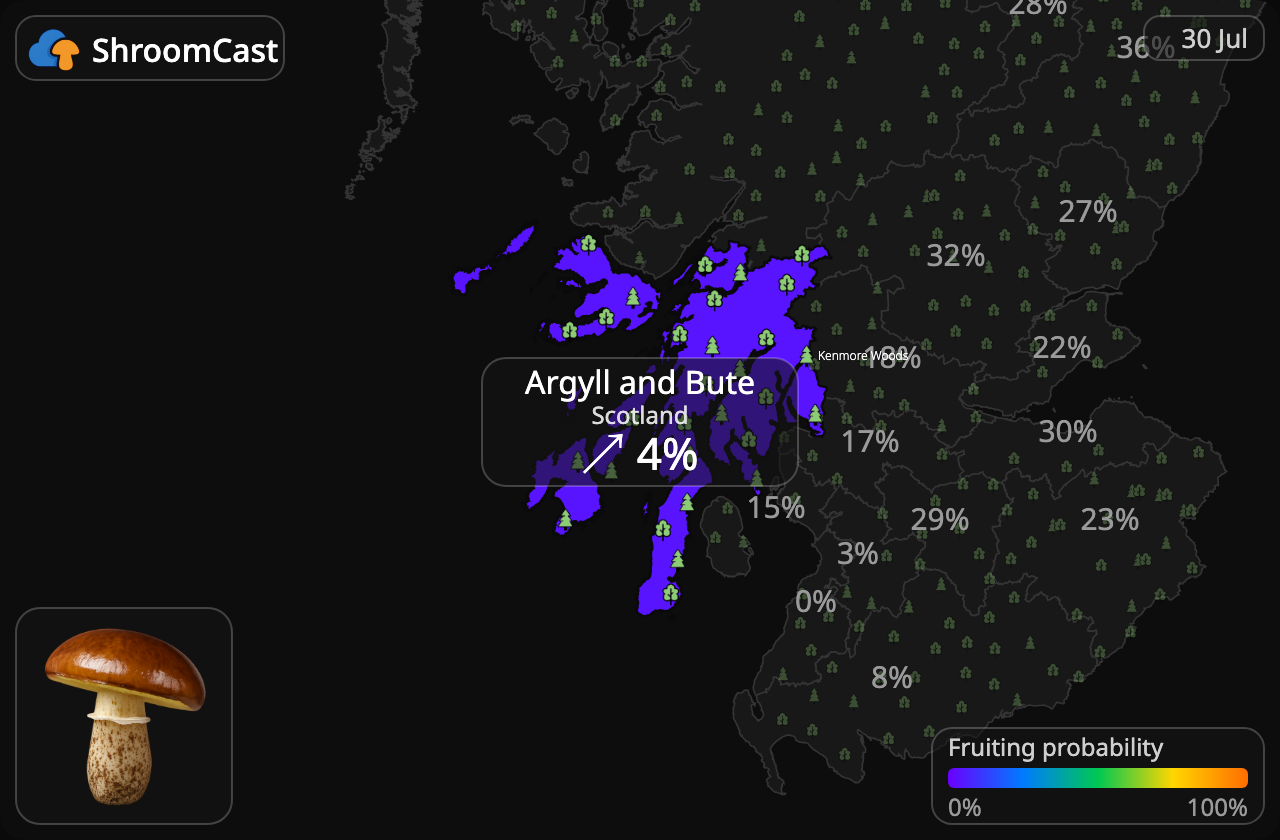 Voitatti Argyll and Bute