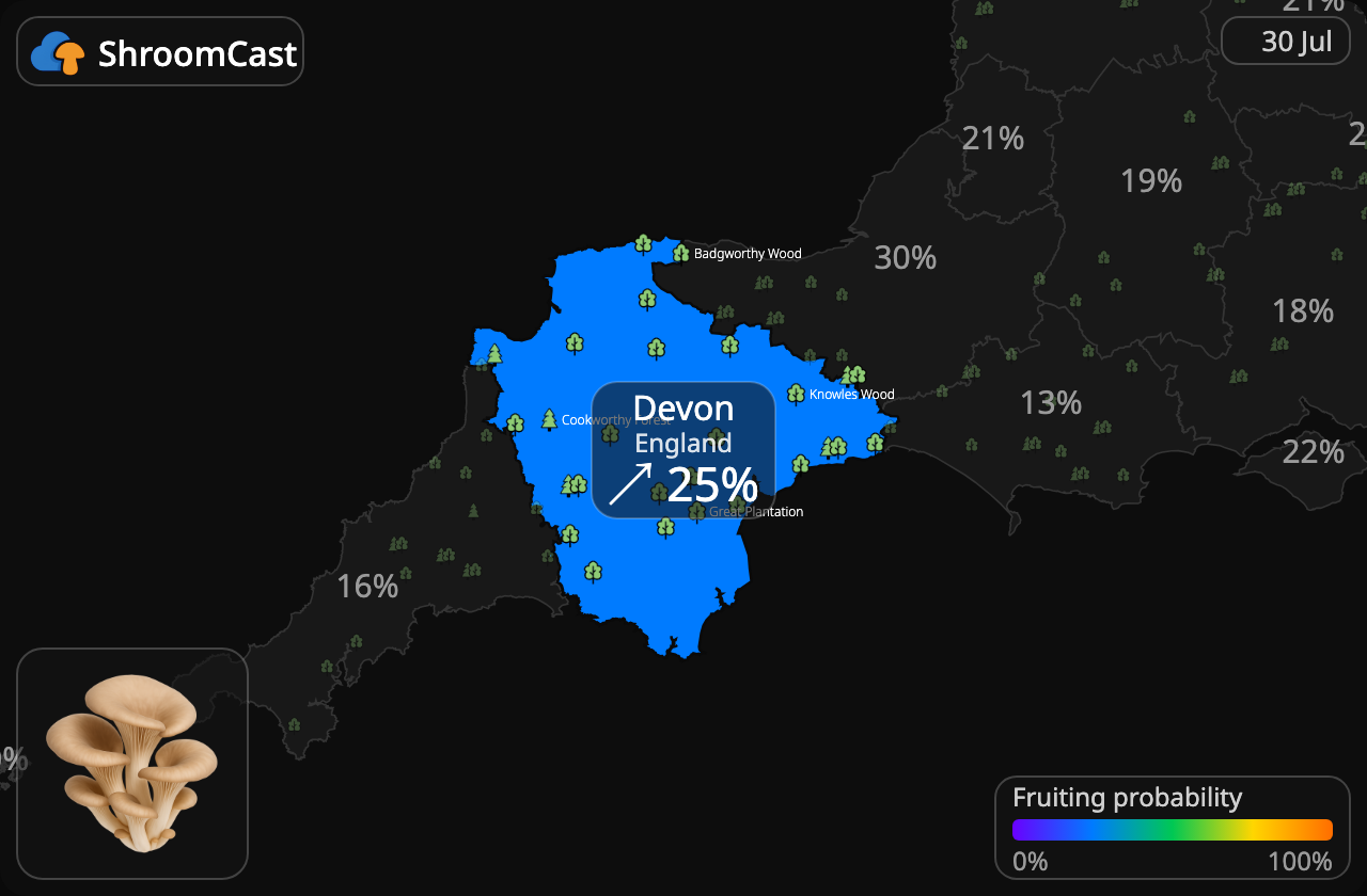 Oesterzwam Devon