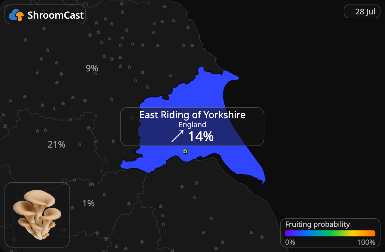 Oesterzwam East Riding of Yorkshire