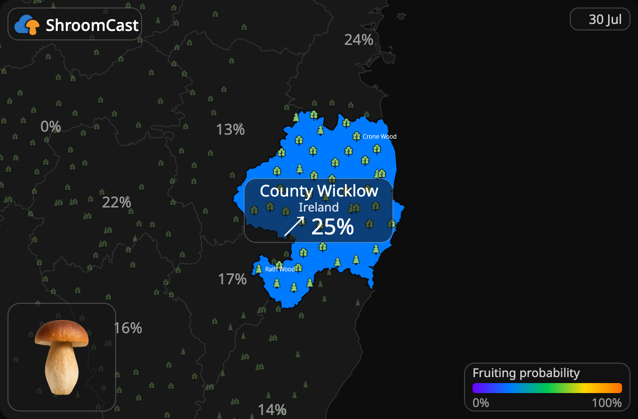 Karljohan (stensopp) County Wicklow