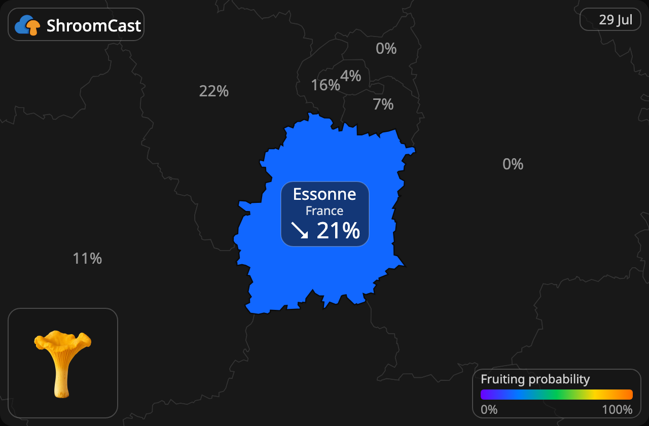 Kantarell Essonne