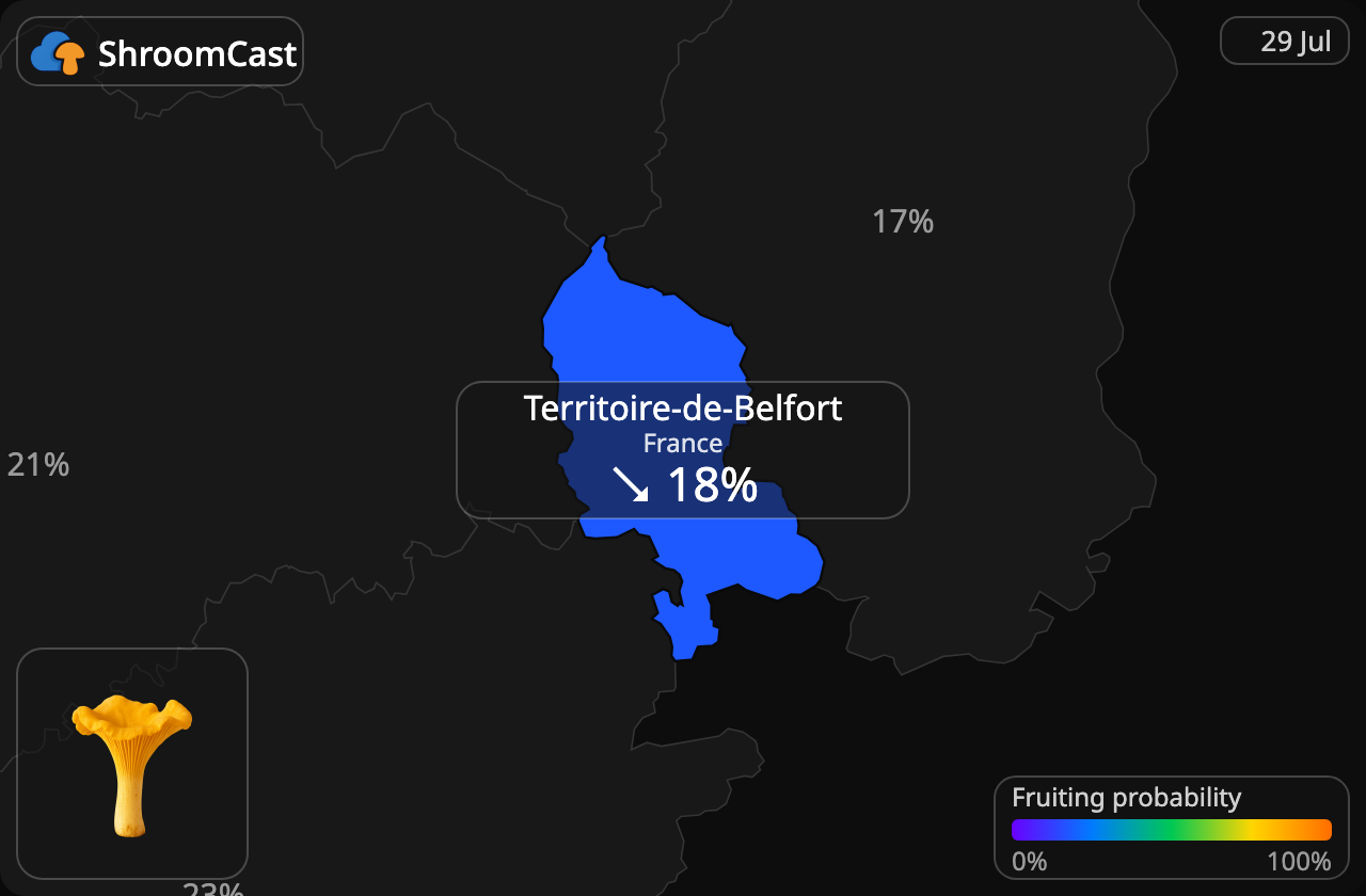 Almindelig kantarel Territoire-de-Belfort