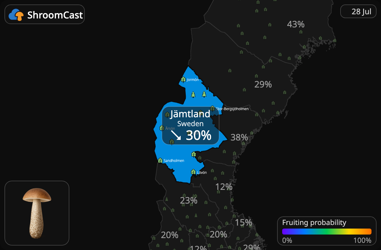 Brun skælrørhat Jämtland