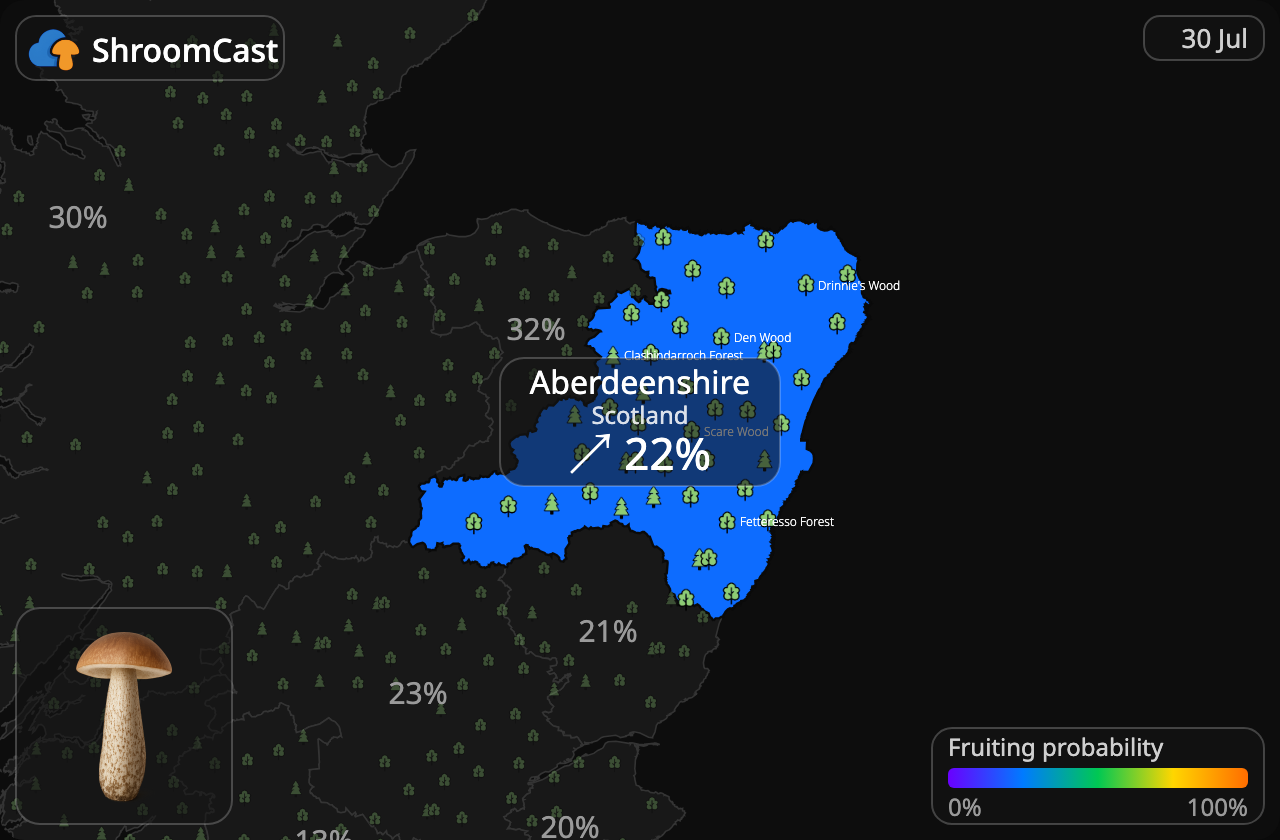 Björksopp Aberdeenshire