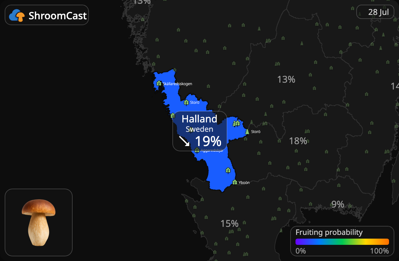 Steinsopp Halland