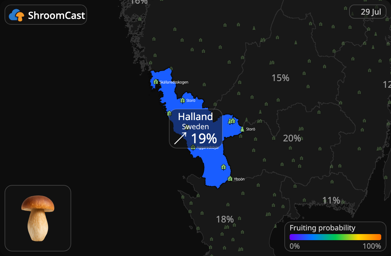 Eekhoorntjesbrood Halland