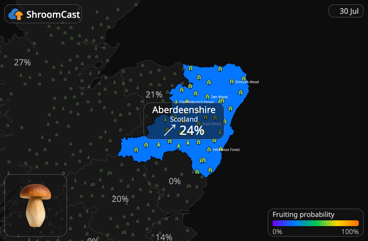Steinsopp Aberdeenshire