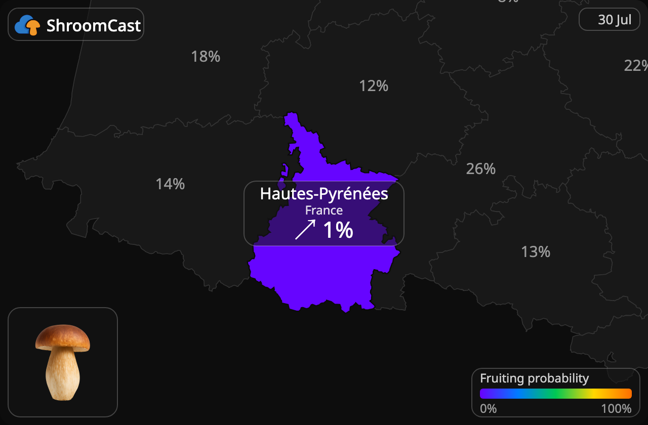 Steinsopp Hautes-Pyrénées