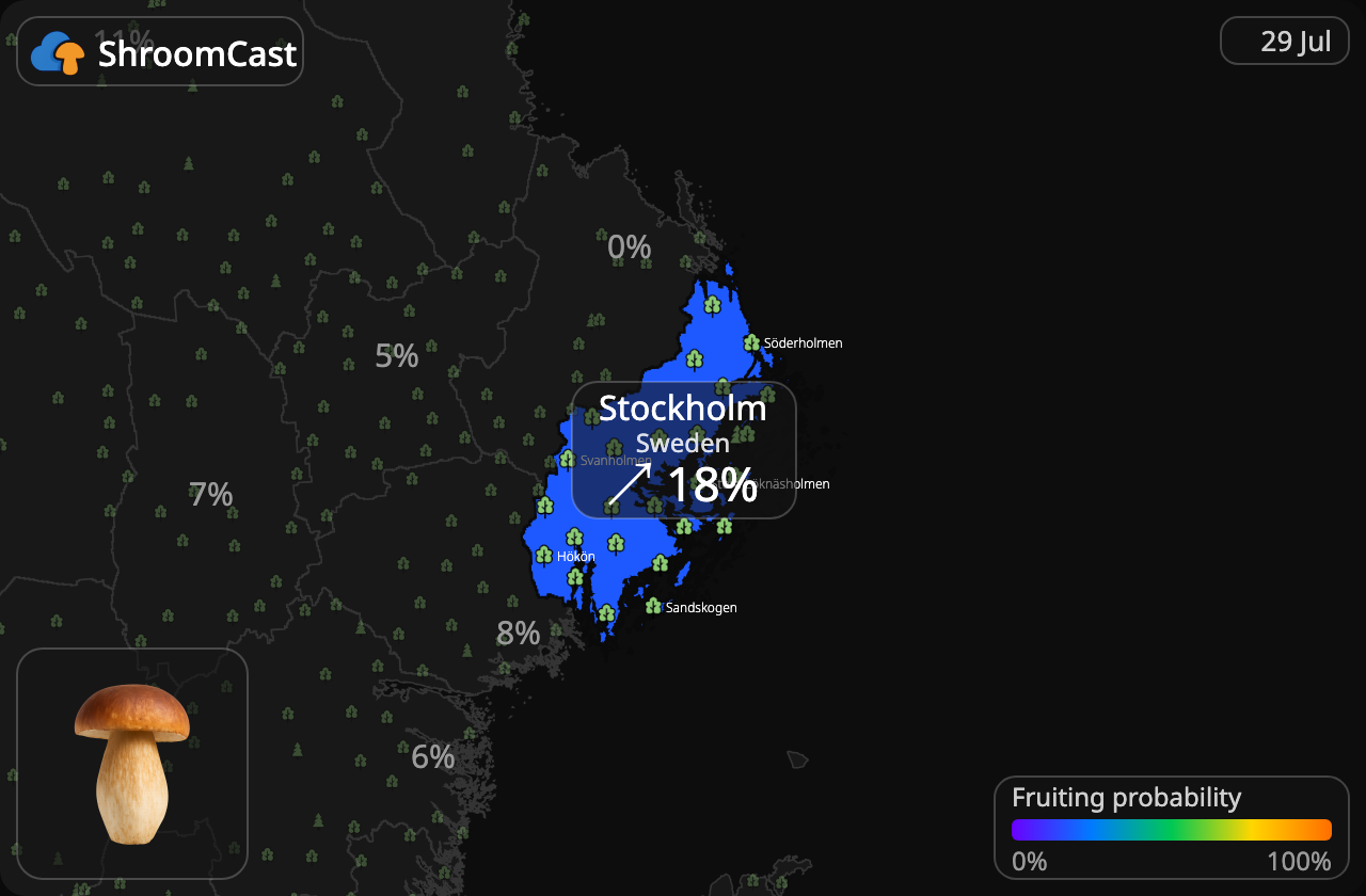 Steinsopp Stockholm