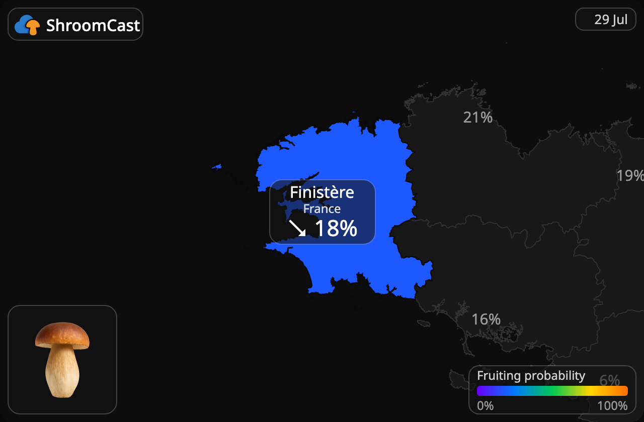 Eekhoorntjesbrood Finistère