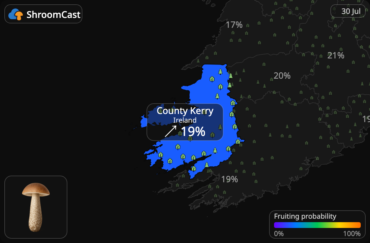 Lehmäntatti County Kerry