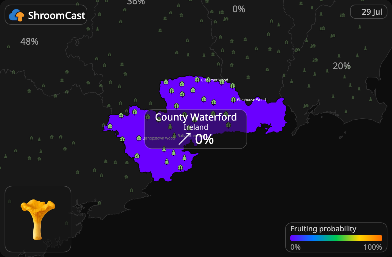 Pfifferling County Waterford