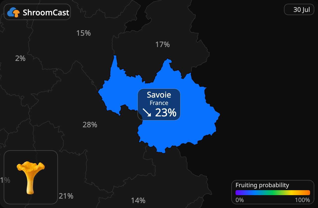 Kantarelli Savoie