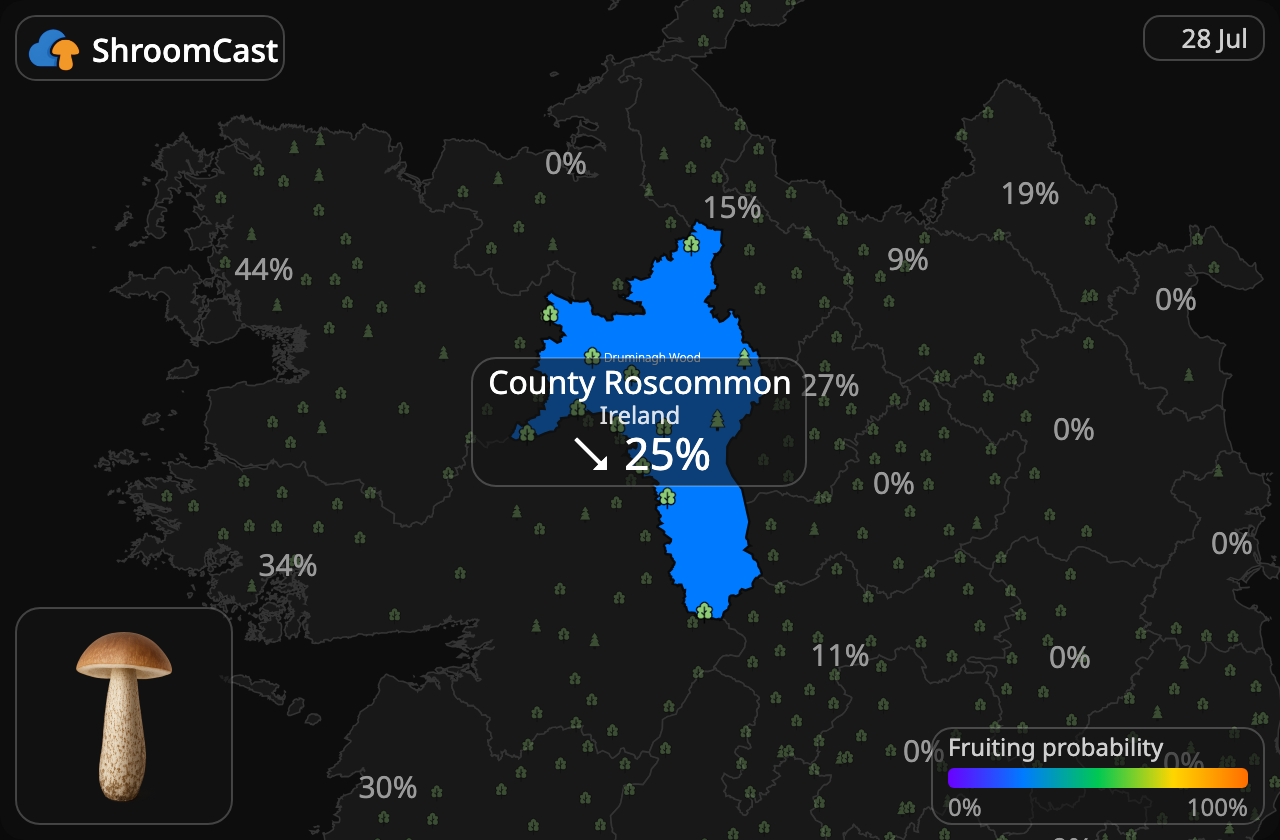 Lehmäntatti County Roscommon