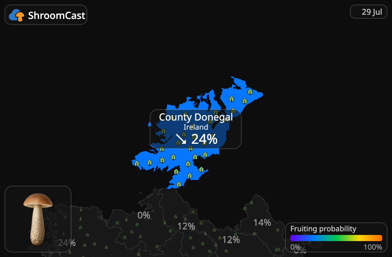 Björksopp County Donegal