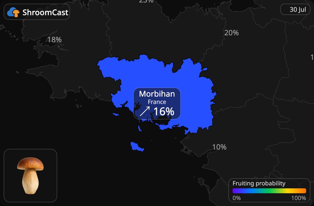 Karljohan (stensopp) Morbihan