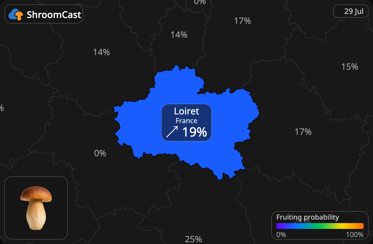 Herkkutatti Loiret