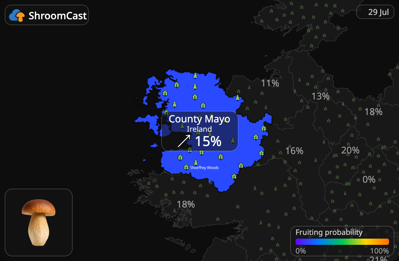 Eekhoorntjesbrood County Mayo
