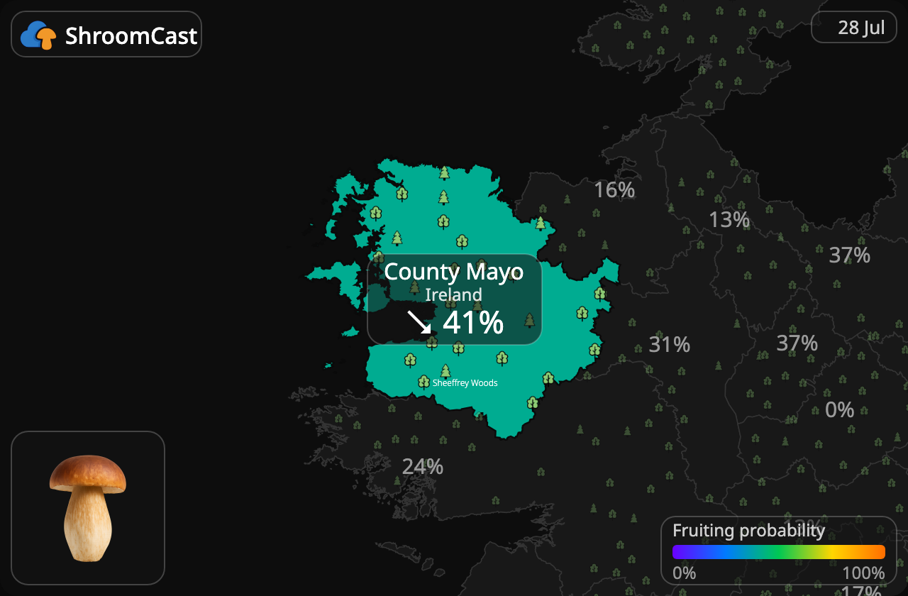 Eekhoorntjesbrood County Mayo