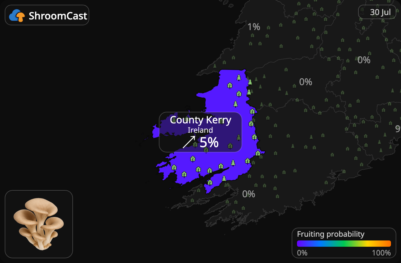 Osterivinokas County Kerry