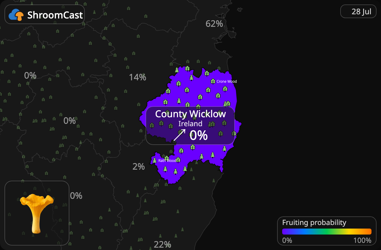 Kantarelli County Wicklow