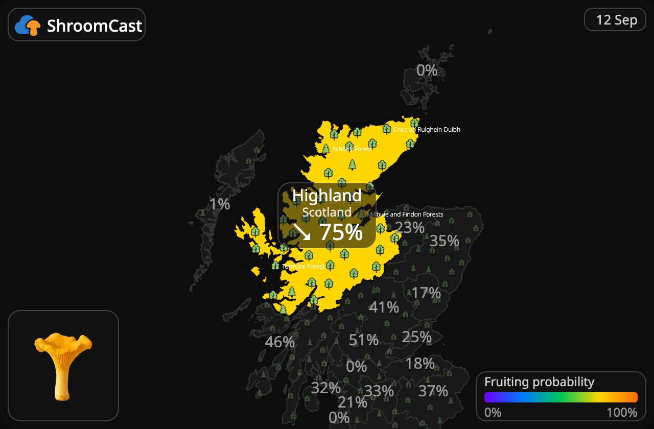 Finferlo Highland