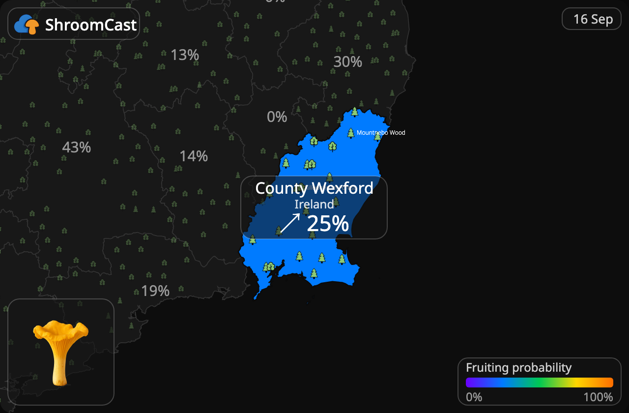 Kurka County Wexford