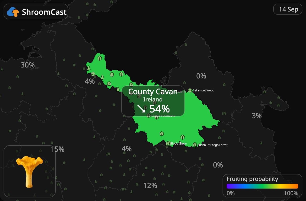 Cantharel County Cavan