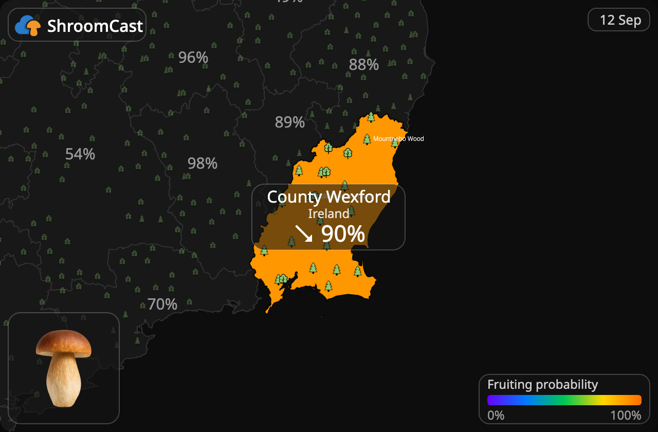 Herkkutatti County Wexford