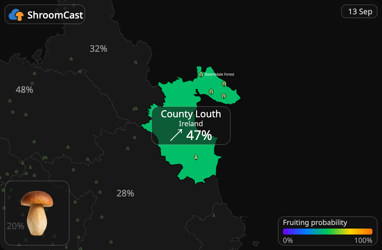 Eekhoorntjesbrood County Louth