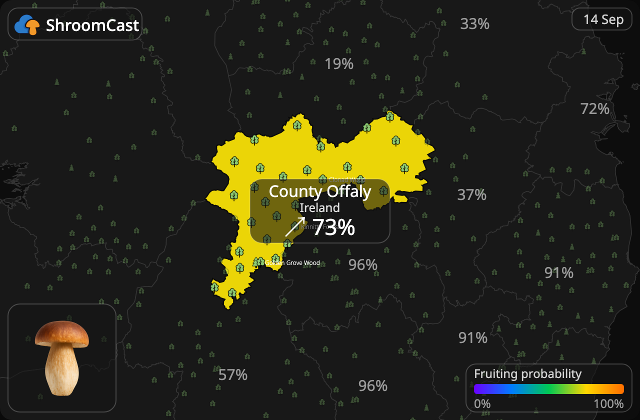 Karljohan County Offaly