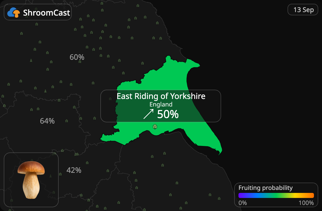 Karljohan East Riding of Yorkshire