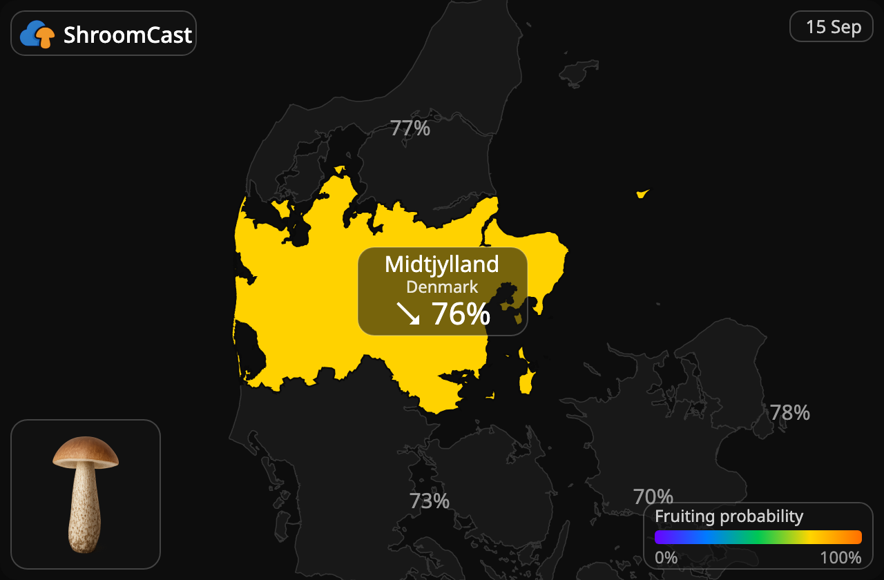 Koźlarz Midtjylland