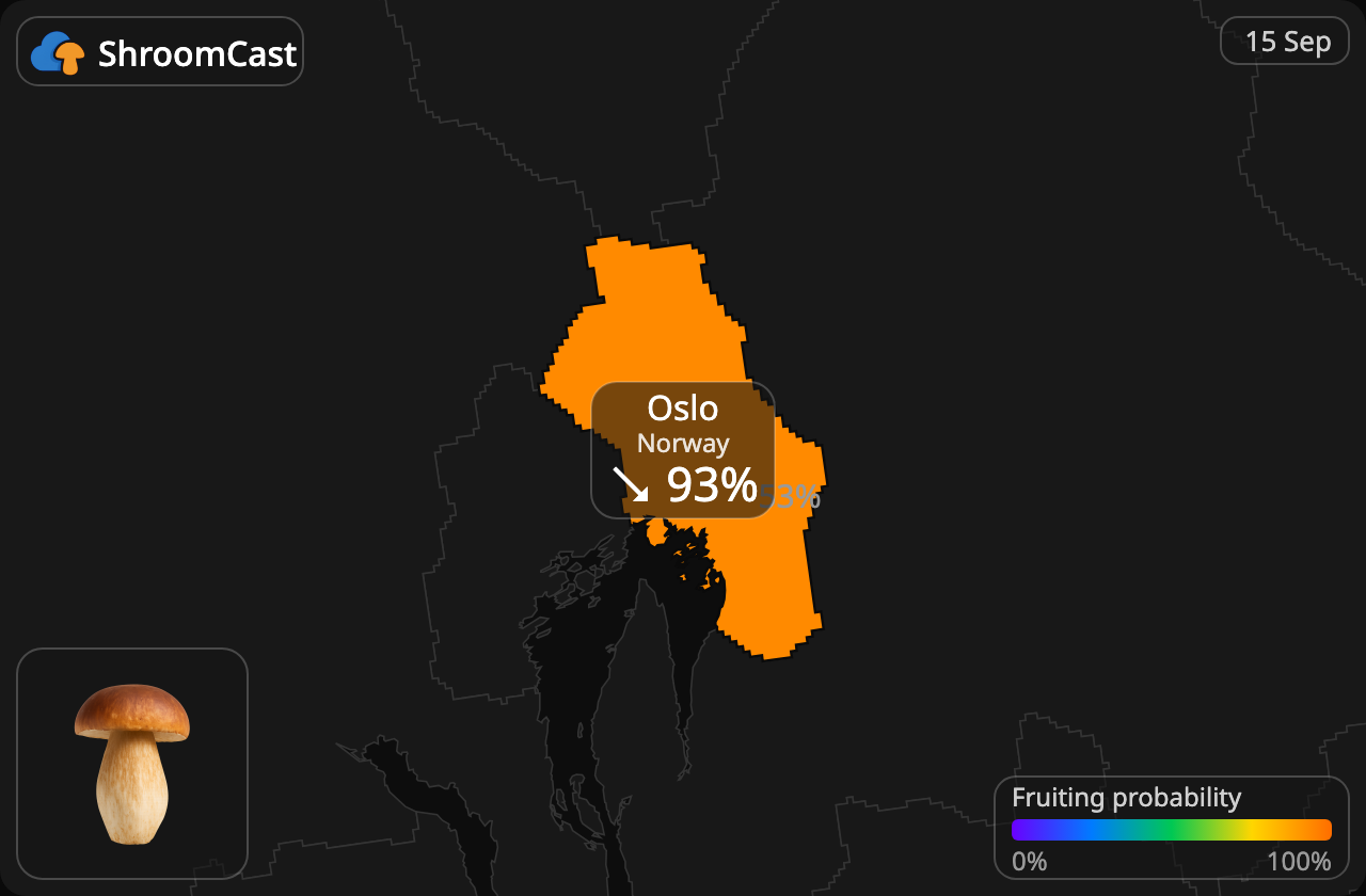 Prawdziwek Oslo