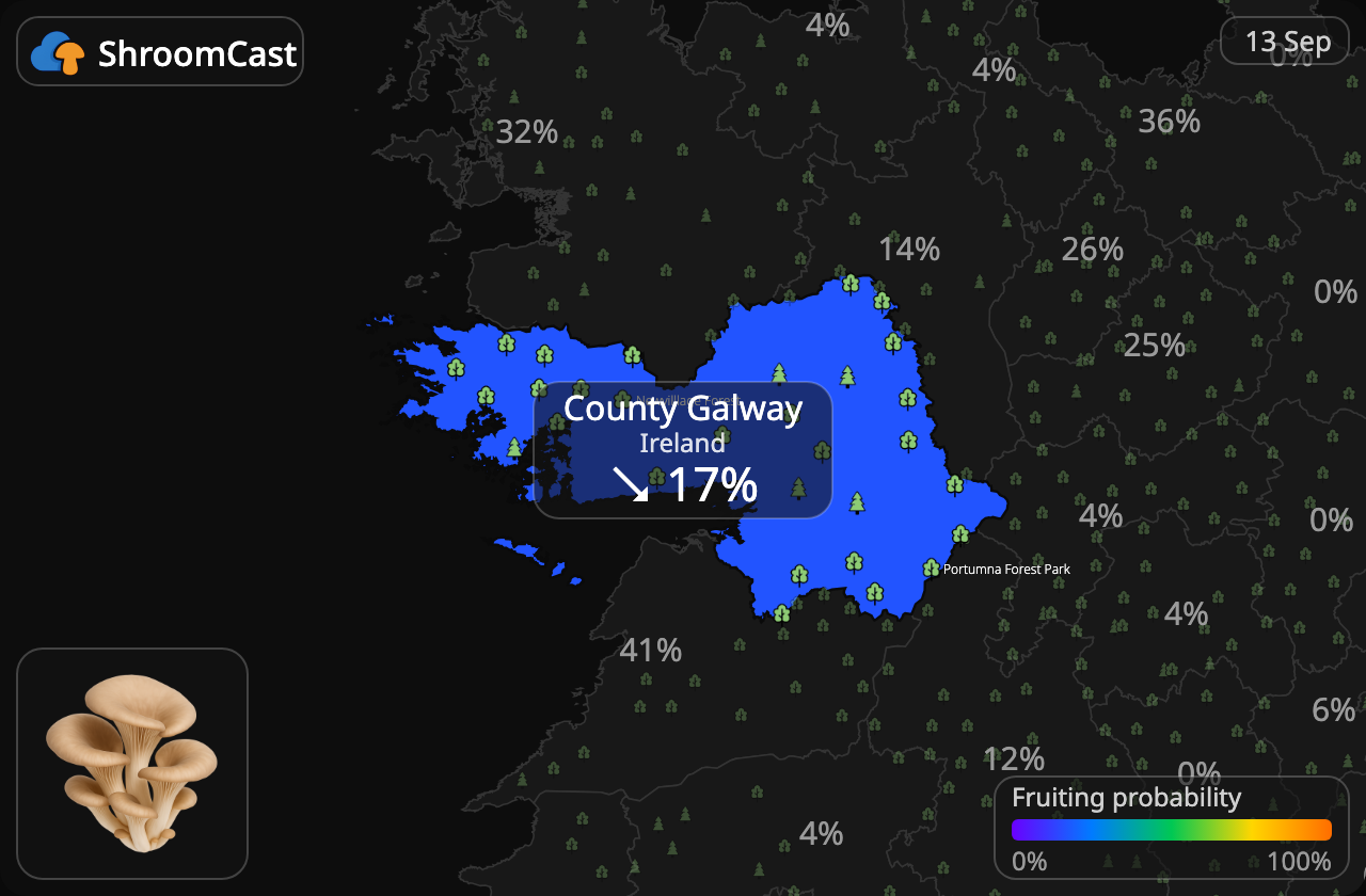 Østershat County Galway