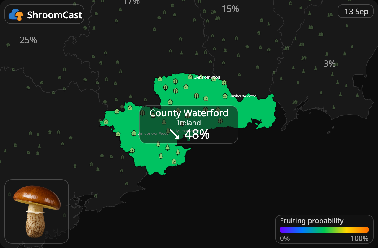 Slippery Jack County Waterford