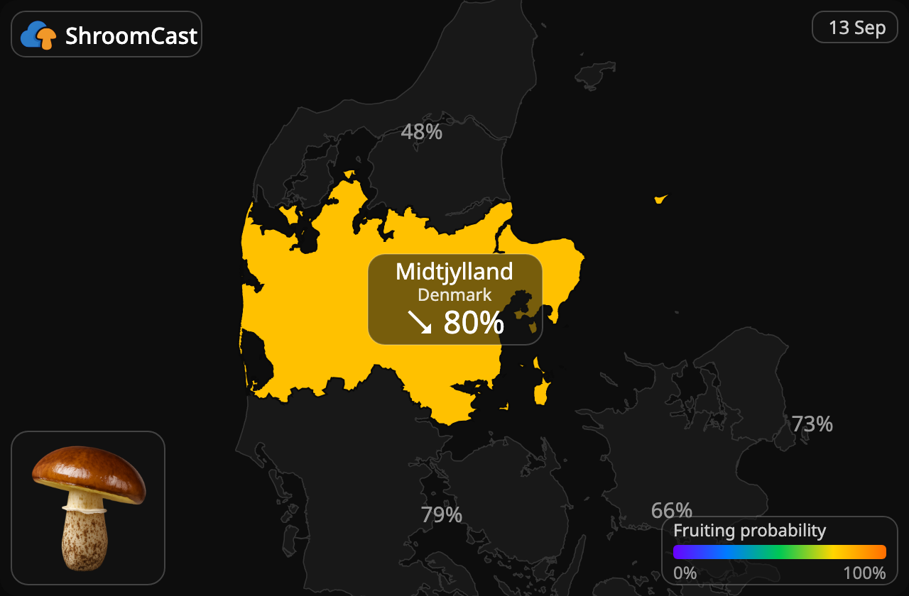 Pinarolo Midtjylland