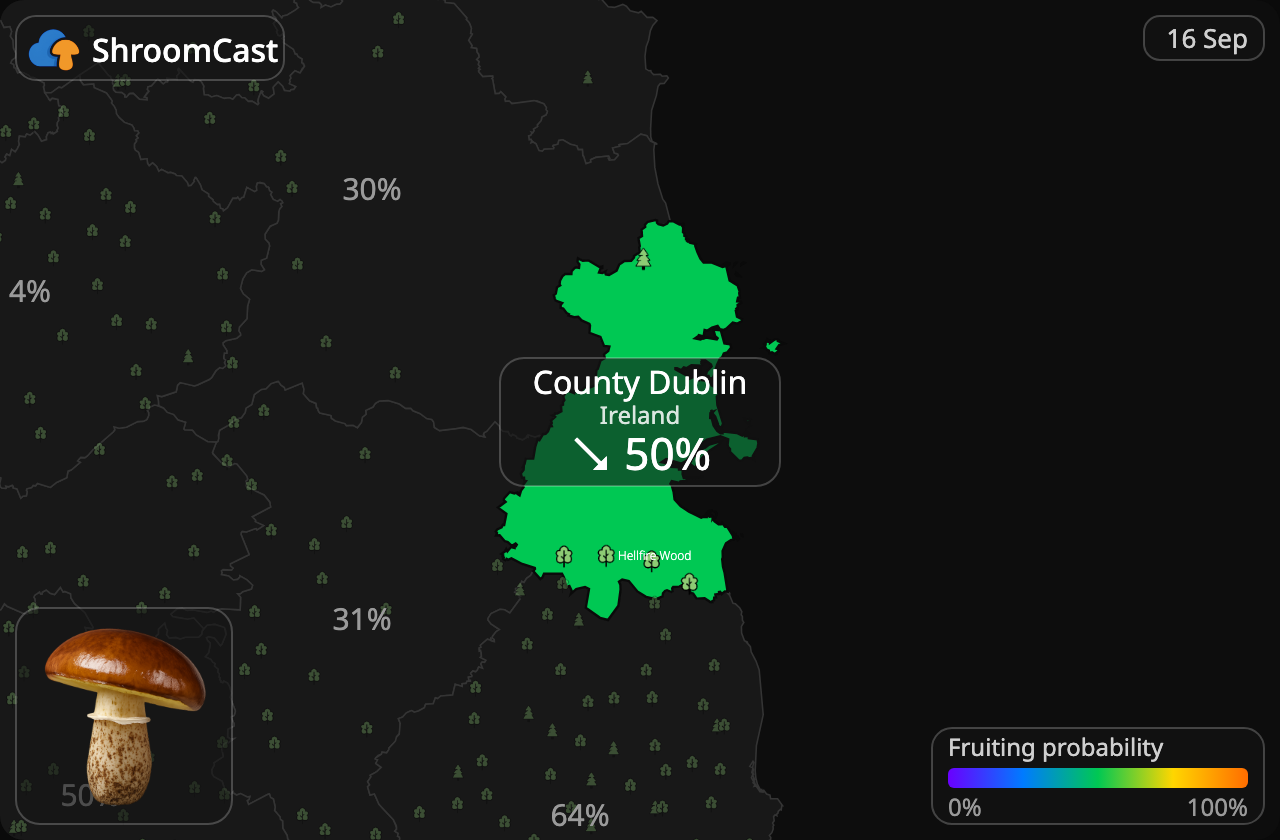 Maślak County Dublin