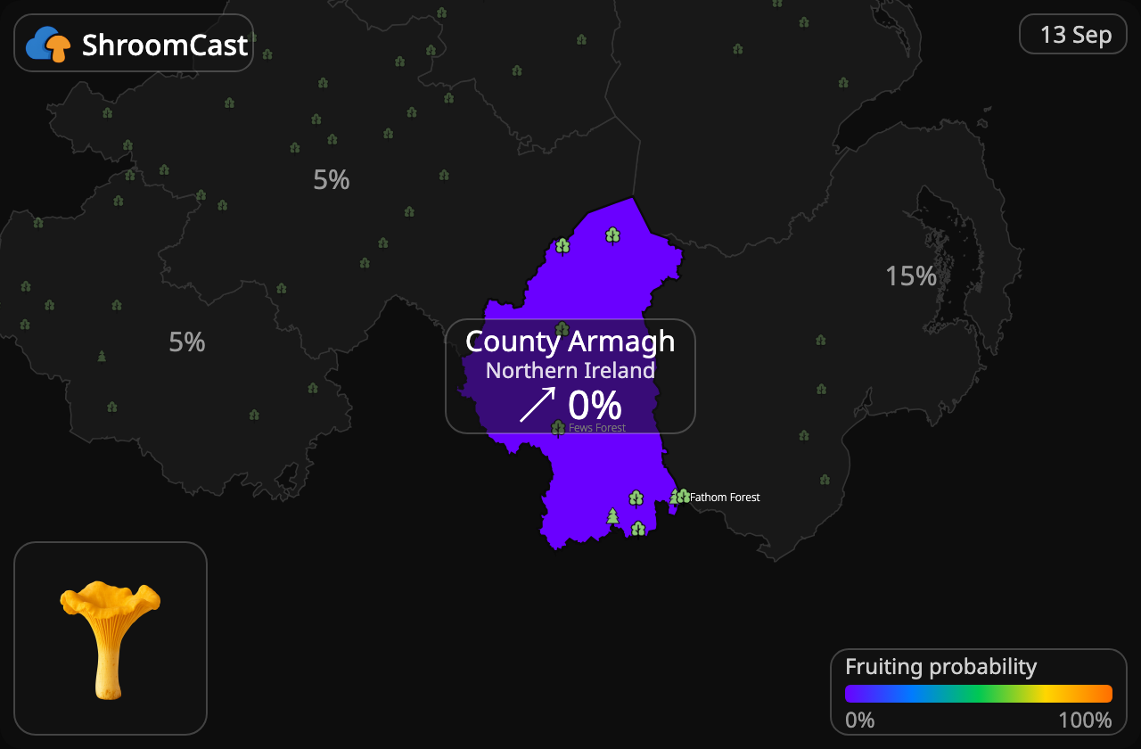 Cantharel County Armagh